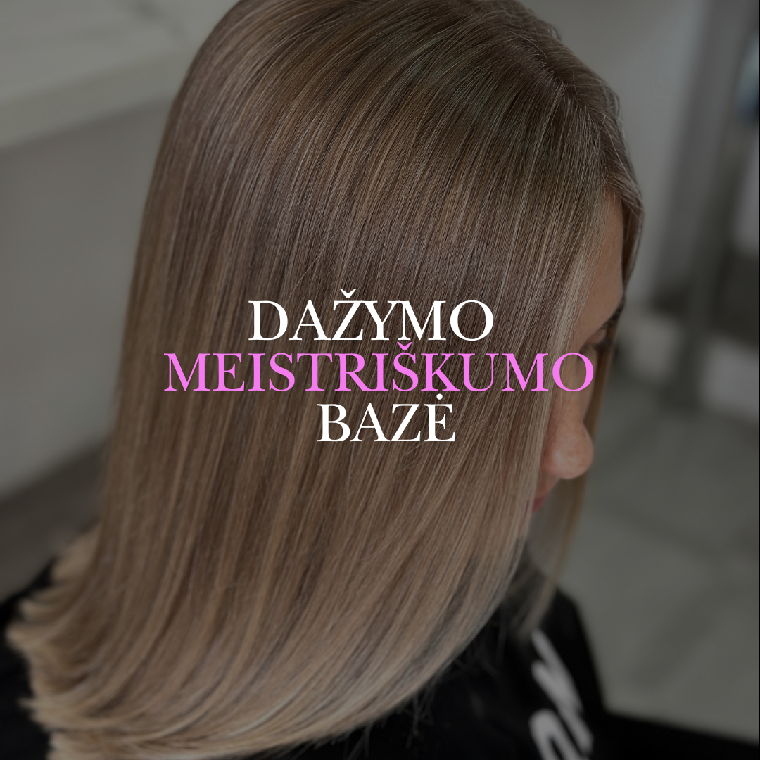 Dažymo meistriškumo bazė